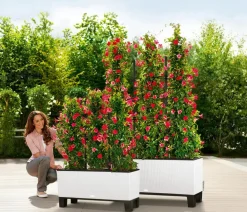 LECHUZA® Polyrattan-Kasten Trio Cottage, rechteckig Weiß Sale
