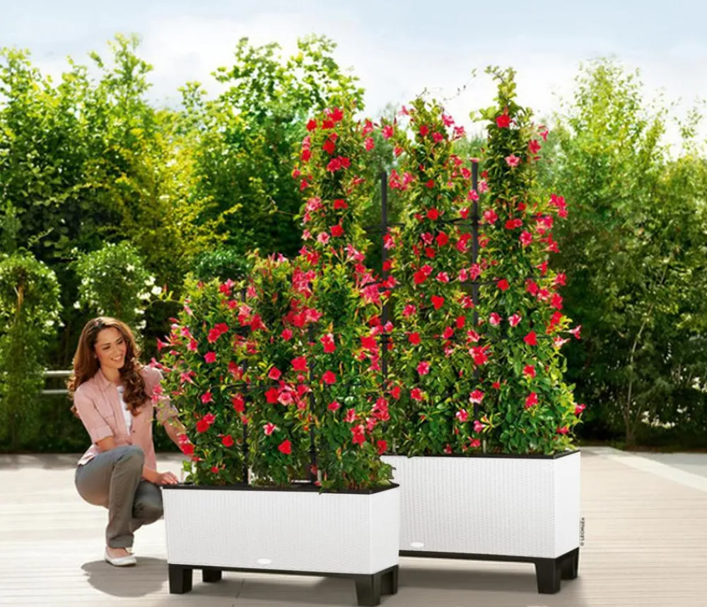 LECHUZA® Polyrattan-Kasten Trio Cottage, rechteckig Weiß Sale