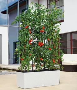LECHUZA® Polyrattan-Kasten Trio Cottage, rechteckig Weiß Sale