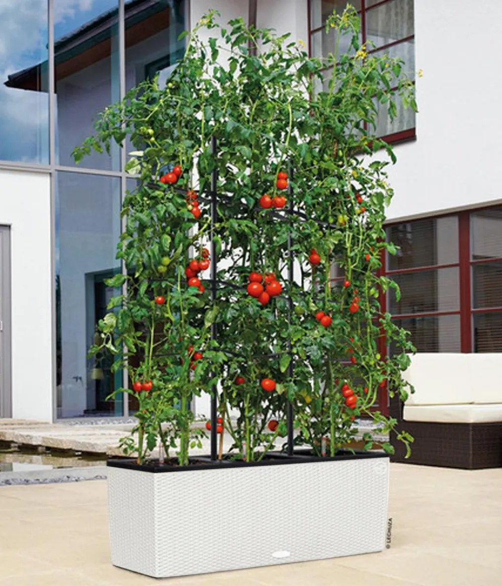 LECHUZA® Polyrattan-Kasten Trio Cottage, rechteckig Weiß Sale