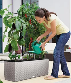 LECHUZA® Polyrattan-Kasten Trio Cottage, rechteckig Hellgrau Clearance