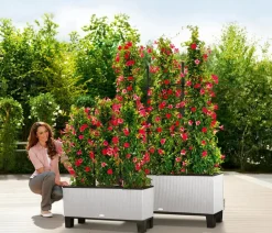 LECHUZA® Polyrattan-Kasten Trio Cottage, rechteckig Hellgrau Clearance