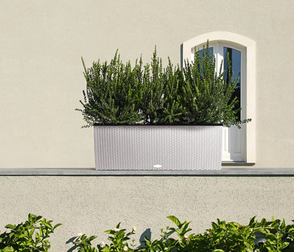 LECHUZA® Polyrattan-Kasten Trio Cottage, rechteckig Hellgrau Clearance