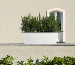 LECHUZA® Polyrattan-Kasten Trio Cottage, rechteckig Weiß Online