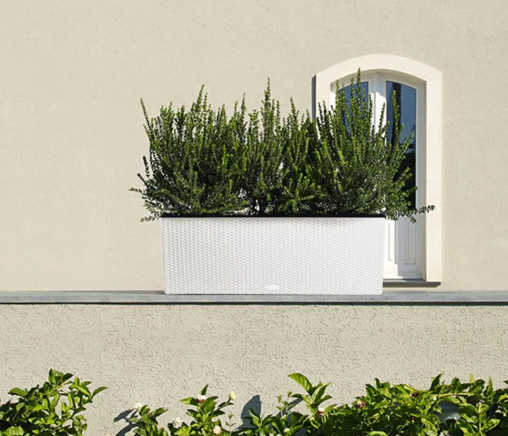 LECHUZA® Polyrattan-Kasten Trio Cottage, rechteckig Weiß Online