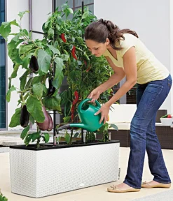 LECHUZA® Polyrattan-Kasten Trio Cottage, rechteckig Weiß Online