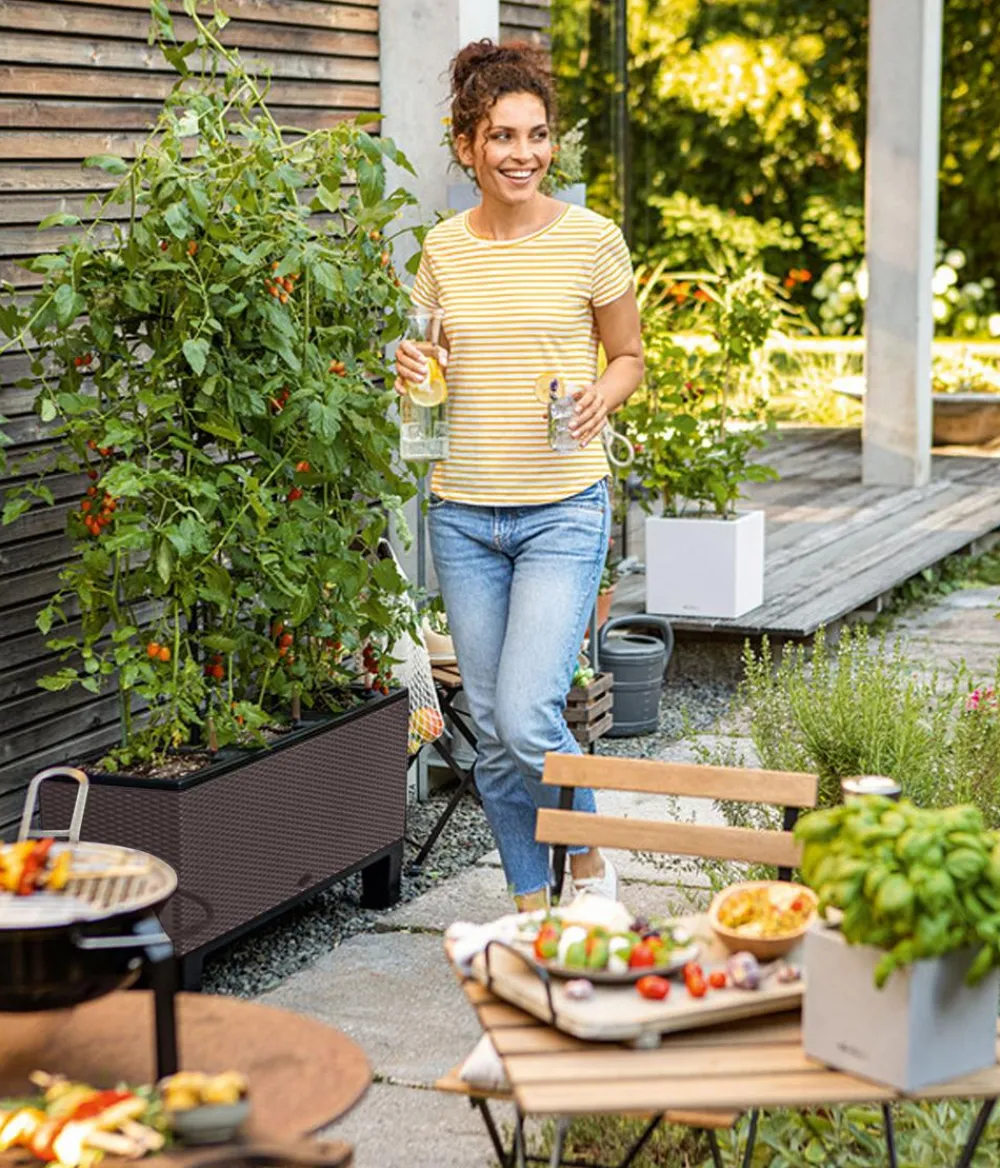 LECHUZA® Pflanzkübel & Blumenkästen|Lechuza Pflanzgefäße & Töpfe - Polyrattan-Kasten Trio Cottage, rechteckig Braun