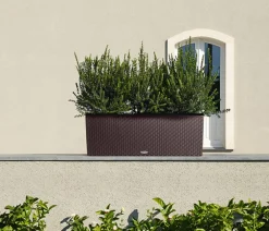 LECHUZA® Pflanzkübel & Blumenkästen|Lechuza Pflanzgefäße & Töpfe - Polyrattan-Kasten Trio Cottage, rechteckig Braun