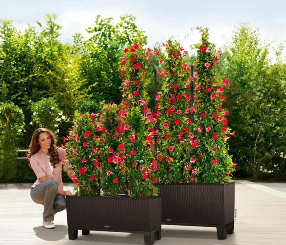 LECHUZA® Pflanzkübel & Blumenkästen|Lechuza Pflanzgefäße & Töpfe - Polyrattan-Kasten Trio Cottage, rechteckig Braun