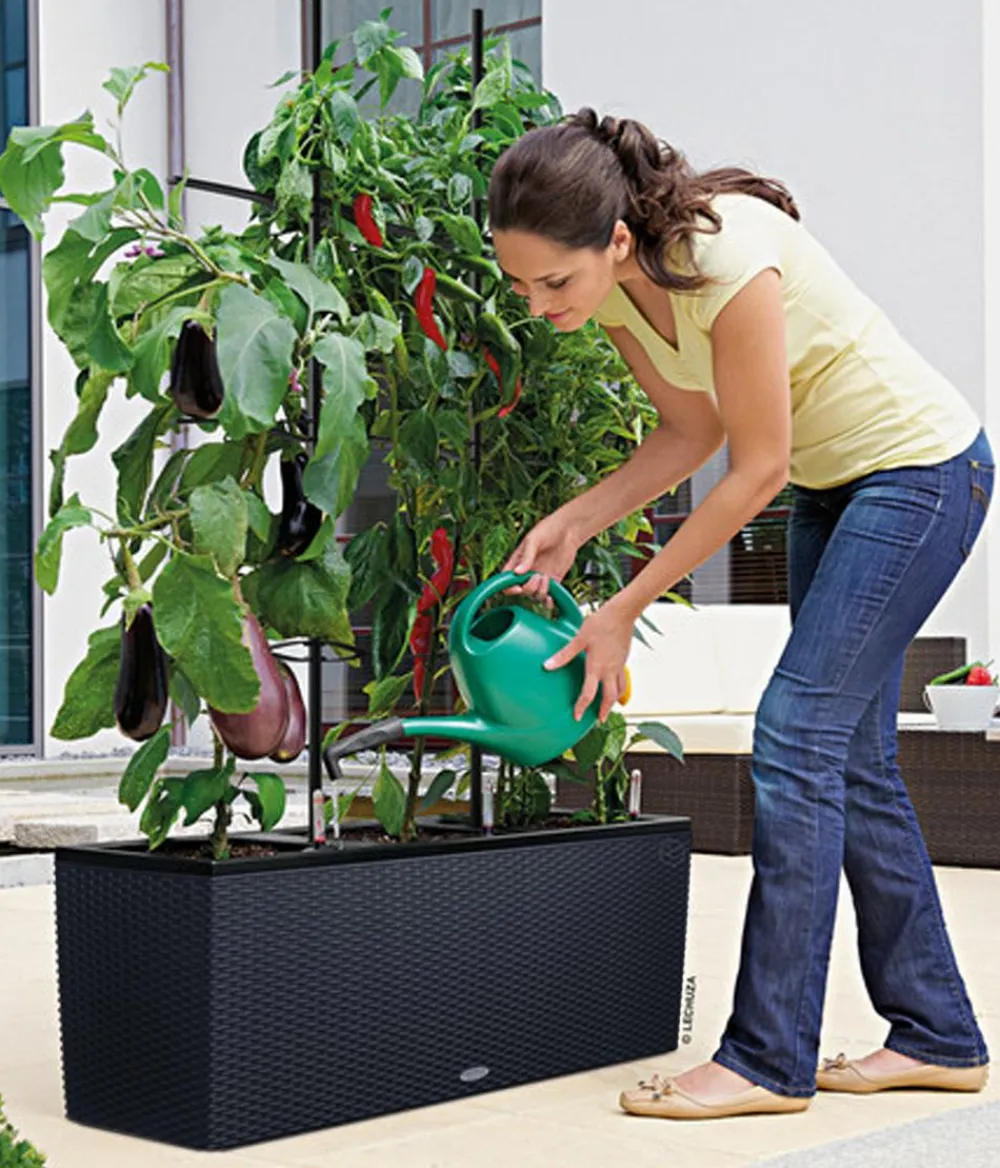 LECHUZA® Pflanzkübel & Blumenkästen|Lechuza Pflanzgefäße & Töpfe - Polyrattan-Kasten Trio Cottage, rechteckig Schwarz