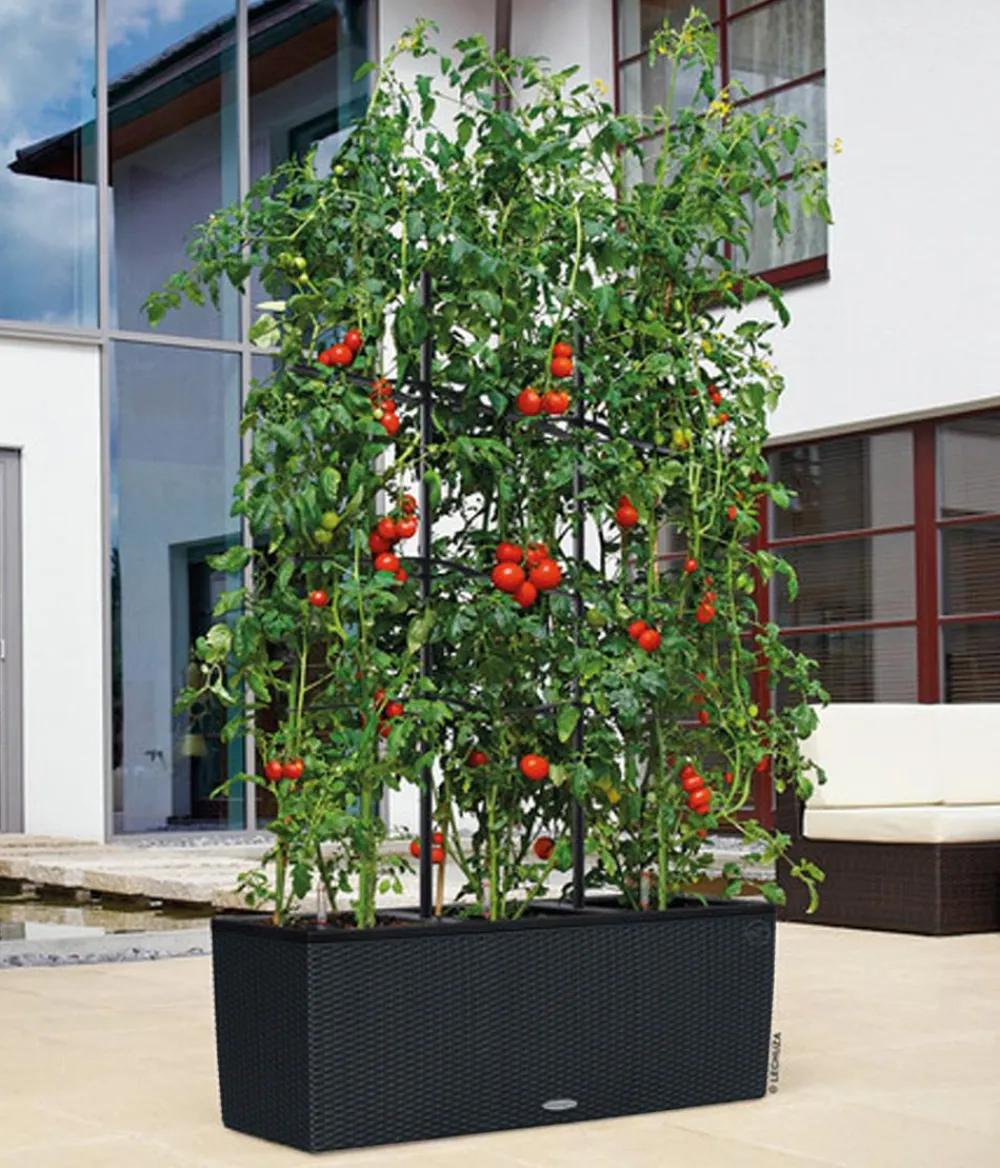 LECHUZA® Pflanzkübel & Blumenkästen|Lechuza Pflanzgefäße & Töpfe - Polyrattan-Kasten Trio Cottage, rechteckig Schwarz
