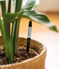 LECHUZA® Mehr Blumentopfzubehör - PON Gießanzeiger Schwarz