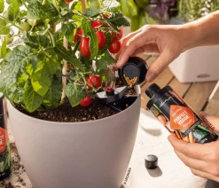 LECHUZA® Pon Perfect Esspflanzen-Dünger, 150 g Discount