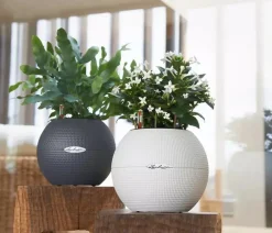 LECHUZA® Lechuza Pflanzgefäße & Töpfe|Lechuza Tischgefäße > PURO Color, All-in-One-Set, rund, ca. Ø20 cm