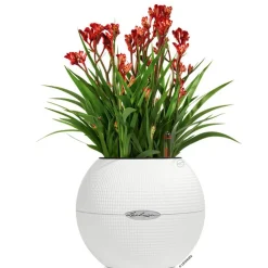 LECHUZA® PURO Color, All-in-One-Set, rund, ca. Ø20 cm Weiß Clearance