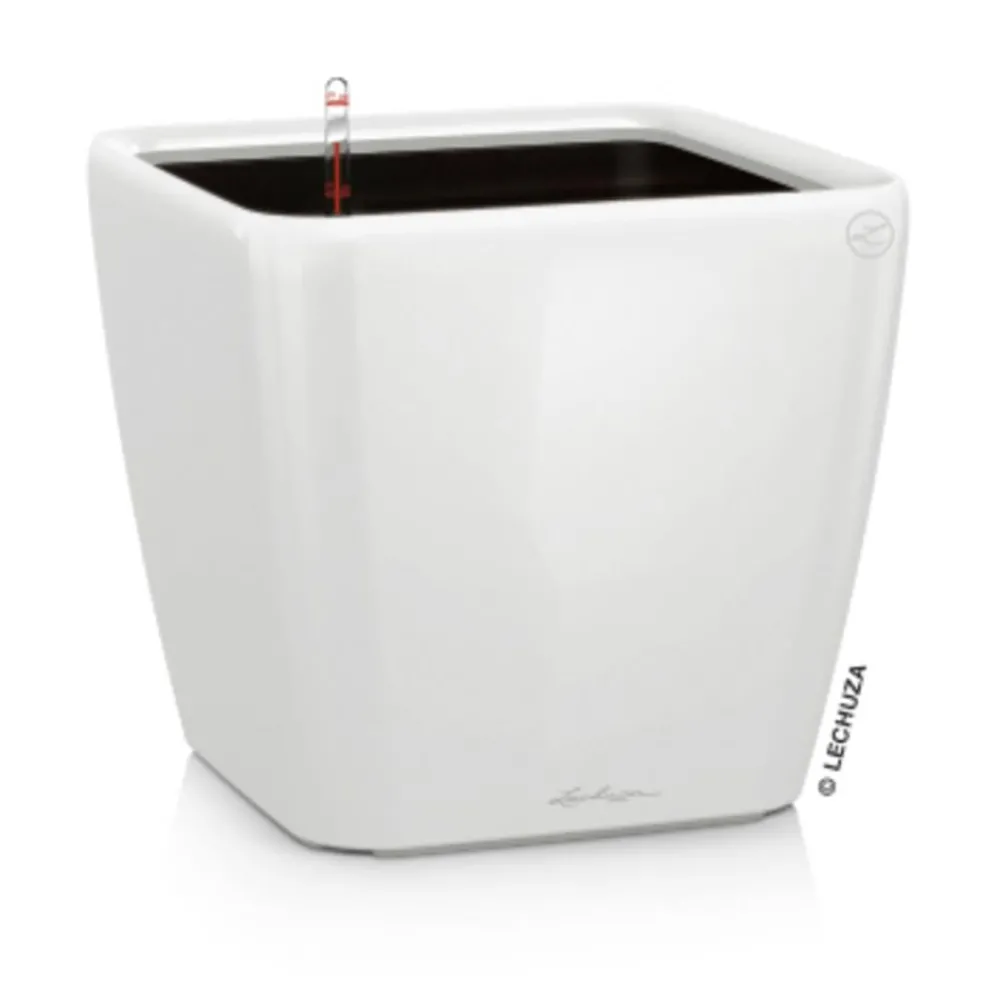 LECHUZA® QUADRO LS, All-in-One-Set Weiß Best