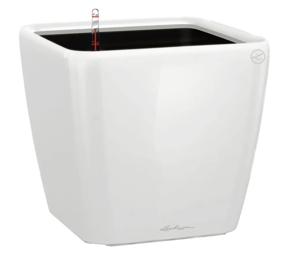 LECHUZA® Lechuza Pflanzgefäße & Töpfe|Lechuza Tischgefäße > QUADRO LS, All-in-One-Set