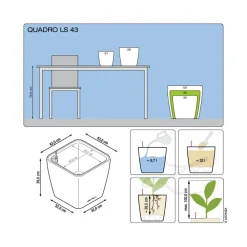 LECHUZA® Lechuza Pflanzgefäße & Töpfe|Lechuza Tischgefäße > QUADRO LS, All-in-One-Set