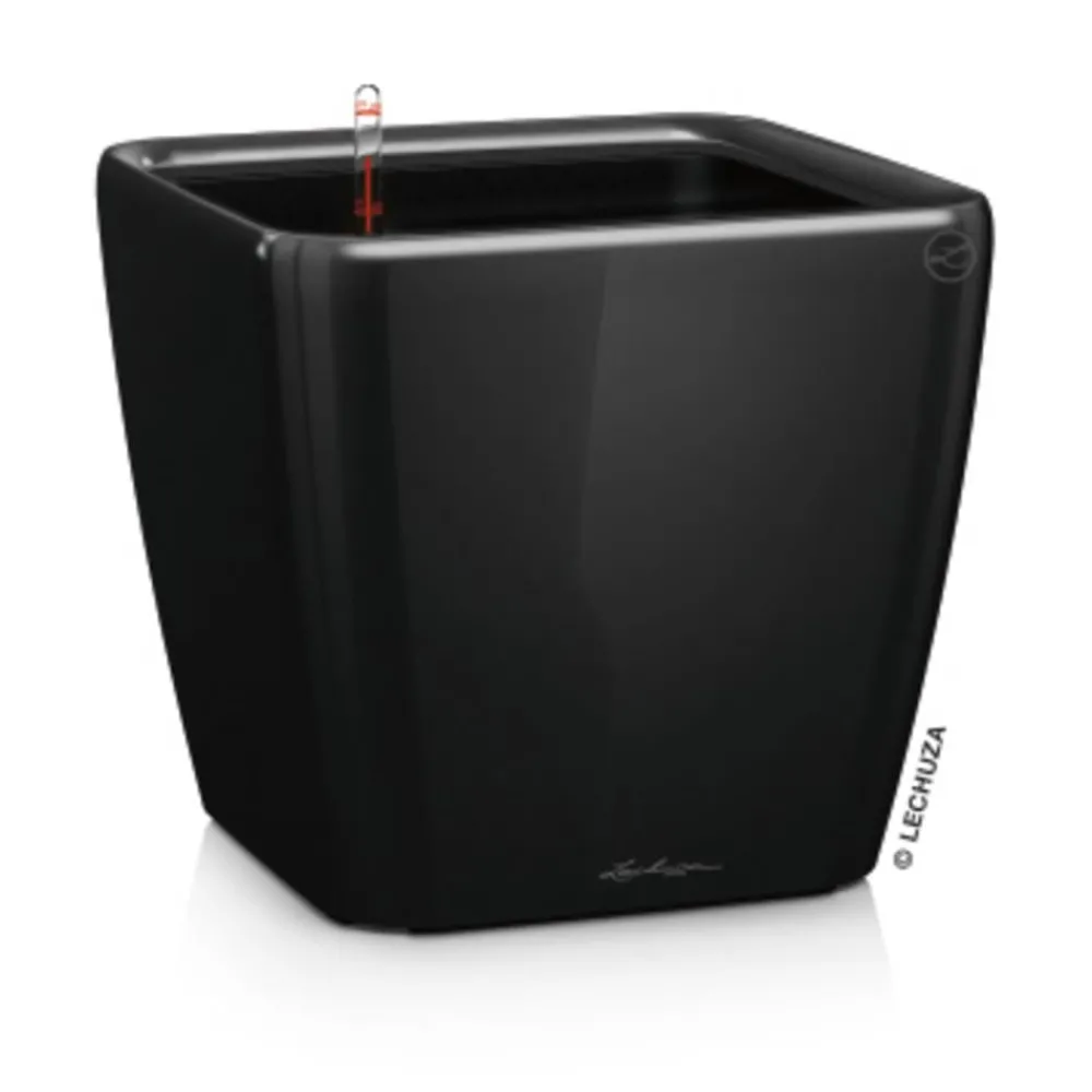 LECHUZA® Lechuza Pflanzgefäße & Töpfe|Lechuza Tischgefäße > QUADRO LS, All-in-One-Set