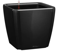 LECHUZA® Lechuza Pflanzgefäße & Töpfe|Lechuza Tischgefäße > QUADRO LS, All-in-One-Set