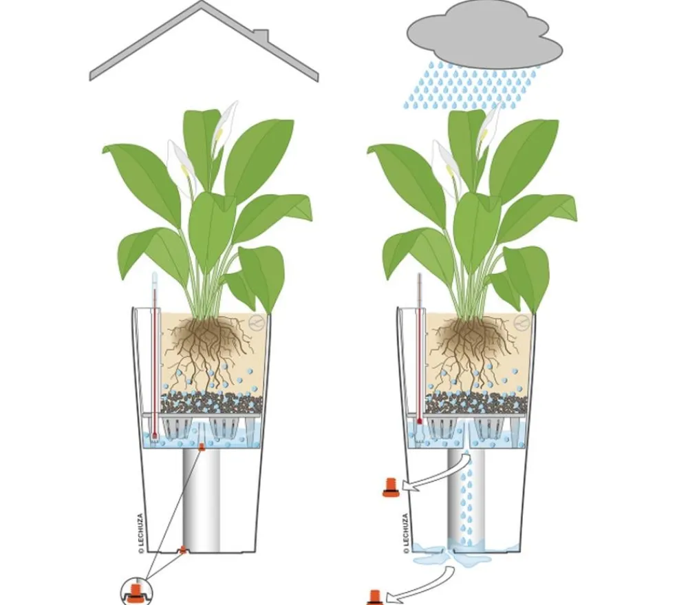 LECHUZA® Lechuza Pflanzgefäße & Töpfe|Lechuza Tischgefäße > QUADRO LS, All-in-One-Set