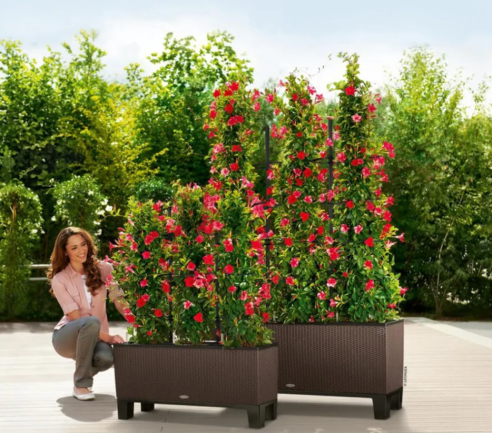 LECHUZA® Lechuza Pflanzgefäße & Töpfe|Mehr Blumentopfzubehör - Sockel für Trio Cottage, Schwarz
