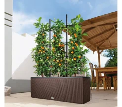 LECHUZA® Trio Cottage Rankgitter, , ca. B113/H170 cm Schwarz Hot
