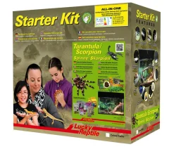 Lucky Reptile Terrarium - Starter Kit Komplettset Spinnen/Skorpione, ca. B50/H40/28 cm Schwarz