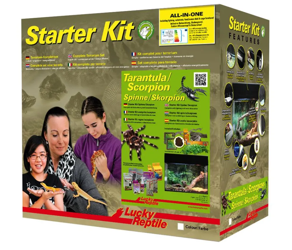 Lucky Reptile Terrarium - Starter Kit Komplettset Spinnen/Skorpione, ca. B50/H40/28 cm Schwarz