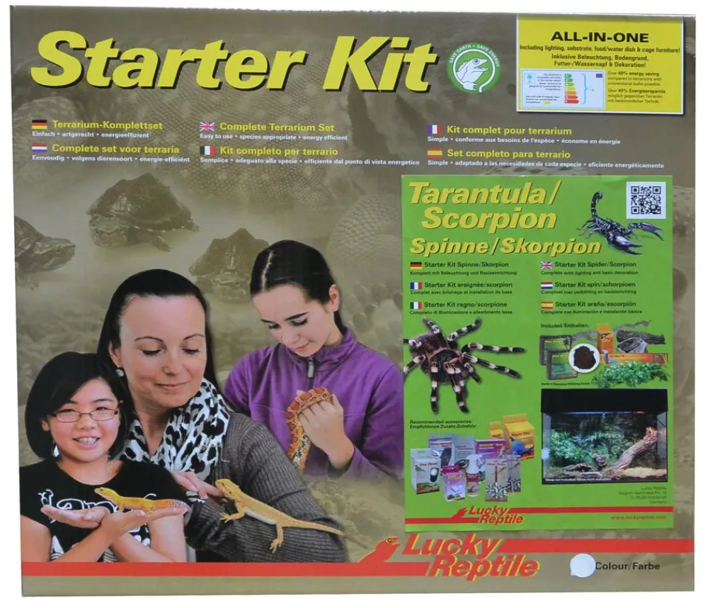 Lucky Reptile Terrarium - Starter Kit Komplettset Spinnen/Skorpione, ca. B50/H40/28 cm Schwarz