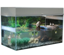 Lucky Reptile Terrarium - Starter Kit Komplettset Wasserschildkröte, ca. B80/H52/T40 cm Weiß