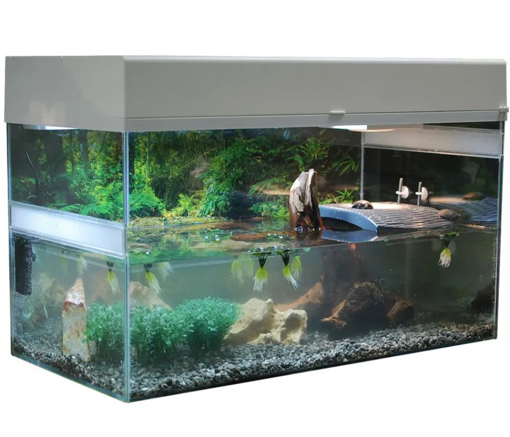 Lucky Reptile Terrarium - Starter Kit Komplettset Wasserschildkröte, ca. B80/H52/T40 cm Weiß