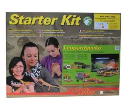 Lucky Reptile Terrarium > Starter Kit Komplettset Leopardgecko, ca. B80/H52/T40 cm