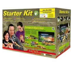 Lucky Reptile Terrarium > Starter Kit Komplettset Leopardgecko, ca. B80/H52/T40 cm