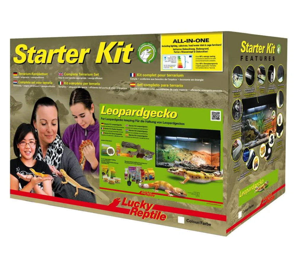 Lucky Reptile Terrarium > Starter Kit Komplettset Leopardgecko, ca. B80/H52/T40 cm