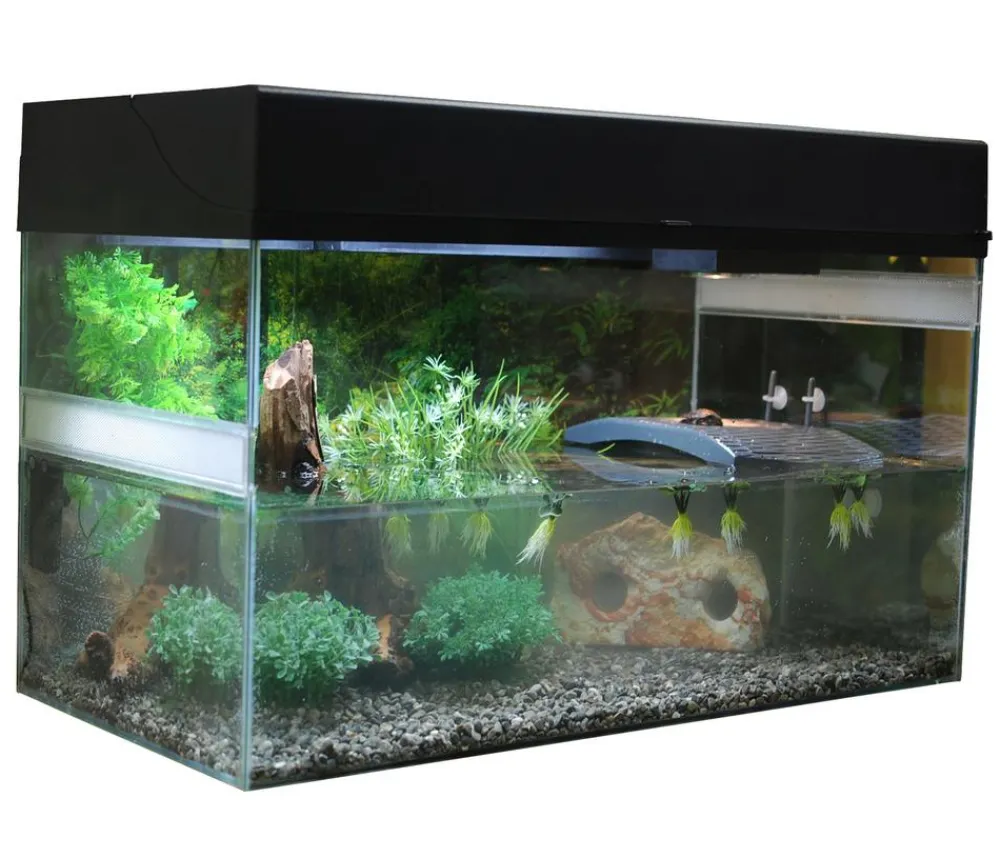 Lucky Reptile Terrarium > Starter Kit Komplettset Wasserschildkröte, ca. B80/H52/T40 cm