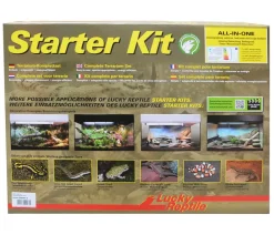 Lucky Reptile Terrarium > Starter Kit Komplettset Bartagame, ca. B80/H52/T40 cm