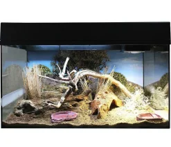 Lucky Reptile Terrarium > Starter Kit Komplettset Bartagame, ca. B80/H52/T40 cm