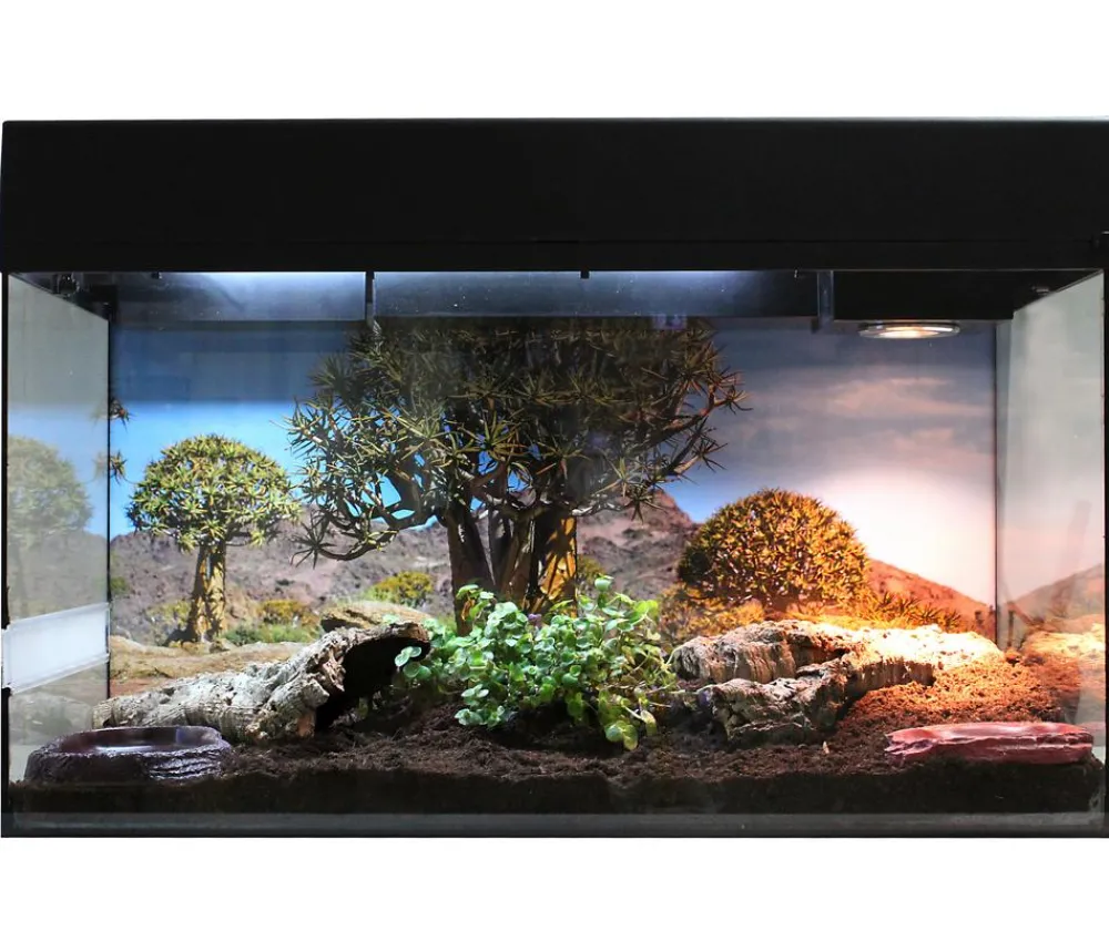 Lucky Reptile Starter Kit Komplettset Landschildkröte, ca. B80/H52/T40 cm Schwarz Hot