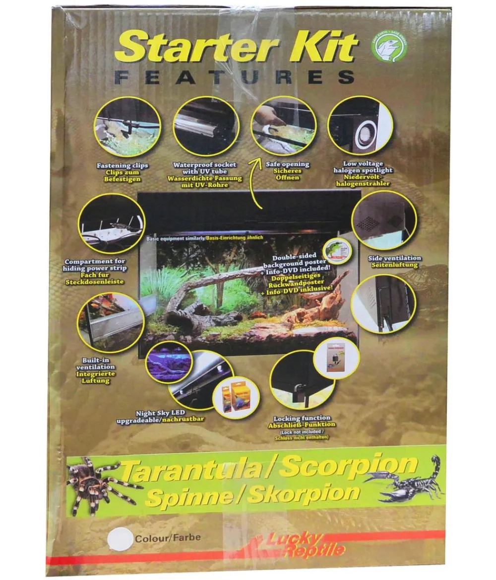 Lucky Reptile Starter Kit Komplettset Spinnen/Skorpione, ca. B50/H40/28 cm Weiß
