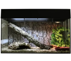Lucky Reptile Terrarium - Terrarium Starter Kit Komplettset Schlangen Schwarz