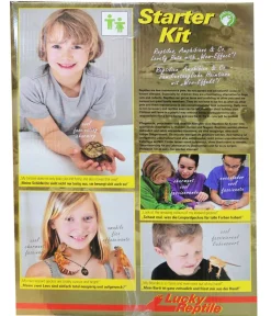 Lucky Reptile Terrarium > Terrarium Starter Kit Komplettset Schlangen