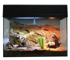 Lucky Reptile Terrarium > Terrarium Starter Kit Wüstengecko, ca. B50/H40/T28 cm