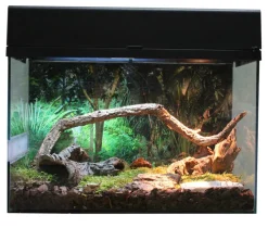 Lucky Reptile Terrarium > Terrarium Starter Kit Wüstengecko, ca. B50/H40/T28 cm