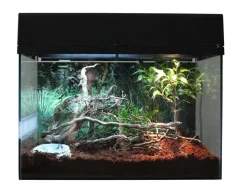 Lucky Reptile Terrarium > Terrarium Starter Kit Wüstengecko, ca. B50/H40/T28 cm