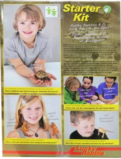 Lucky Reptile Terrarium > Terrarium Starter Kit Wüstengecko, ca. B50/H40/T28 cm
