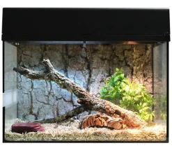 Lucky Reptile Terrarium > Terrarium Starter Kit Komplettset Schlangen