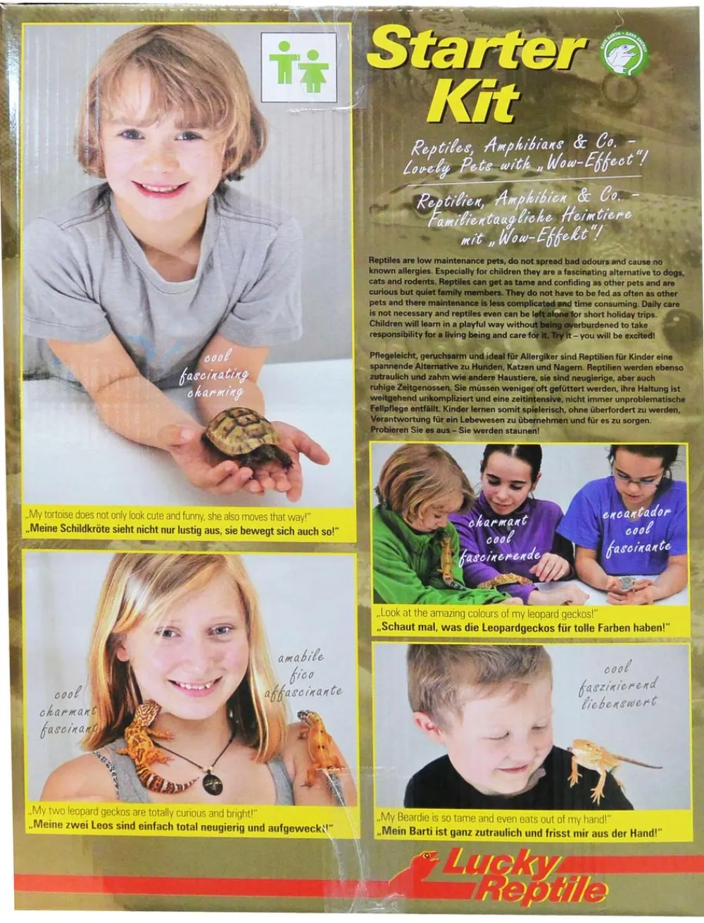 Lucky Reptile Terrarium Starter Kit Wüstengecko, ca. B50/H40/T28 cm Weiß Outlet