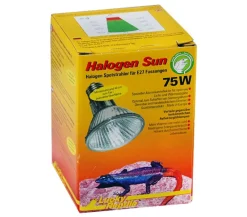 Lucky Reptile Terrarientechnik > Wärmestrahler Halogen Sun