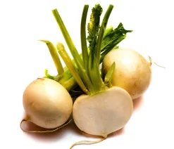 Dehner Gartengemüse|Kohl- & Salatpflanzen - Mairübe, 12er Schale Creme